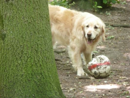 Teun heeft de wens om volgend seizoen ook tot de toppers te behoren. Dat wordt ballen inzamelen..