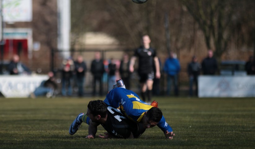 Boshuizen_7339_130316