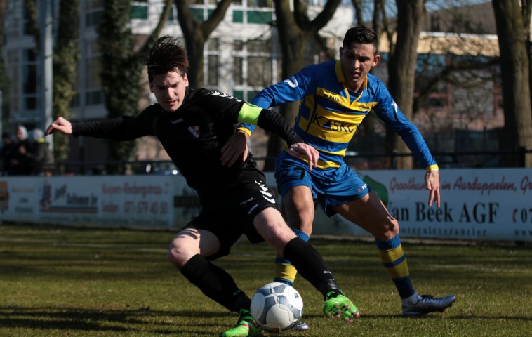 Boshuizen_7542_130316