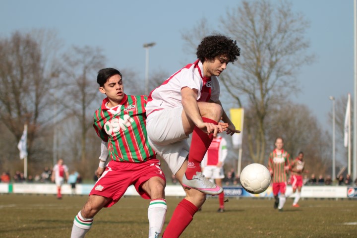 RCL-DSO_398_130316