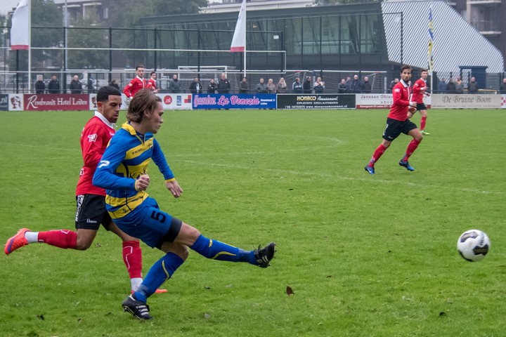 15_boshuizen_299_131116