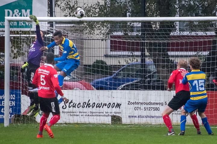 16_boshuizen_300_131116