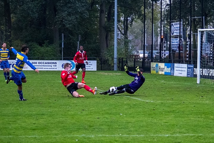 25_boshuizen_321_131116