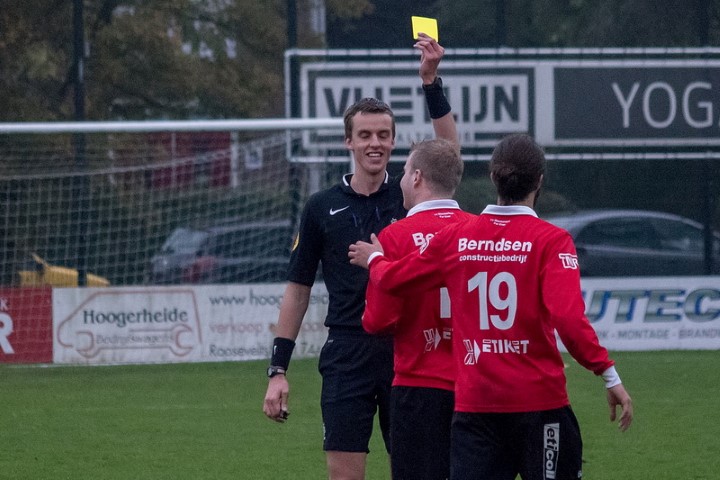 29_boshuizen_329_131116