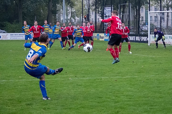 30_boshuizen_331_131116