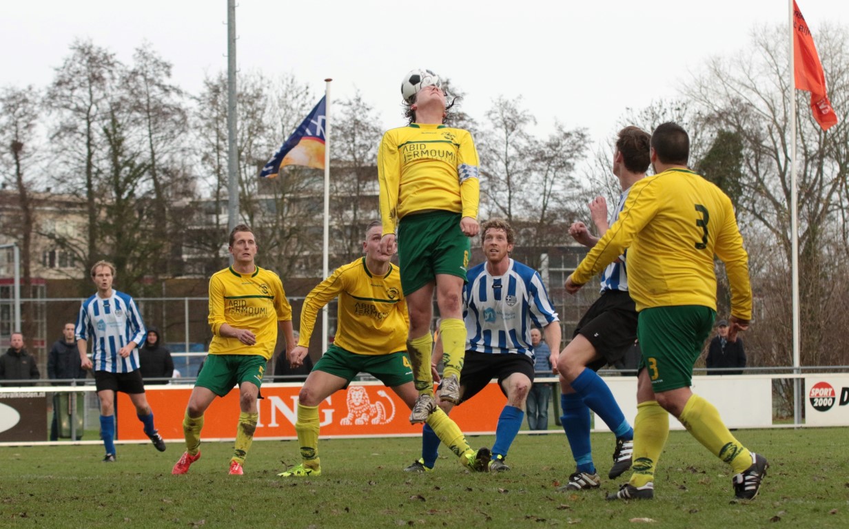 Rijnland_9586