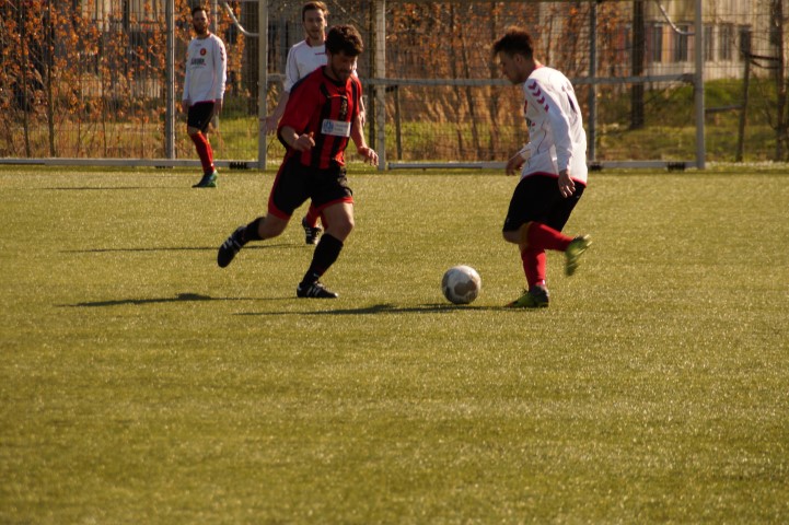 DSC00649 (Small)