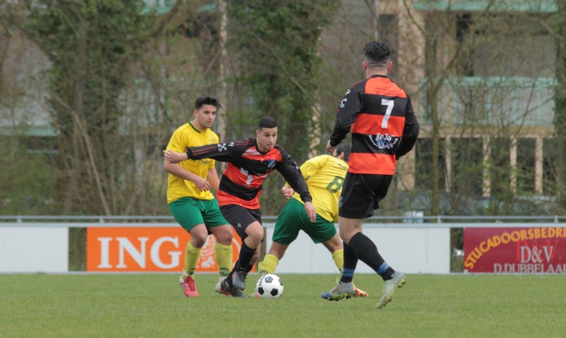 IMG_1156 (Small)
