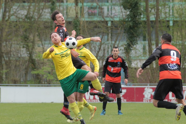 IMG_1266 (Small)