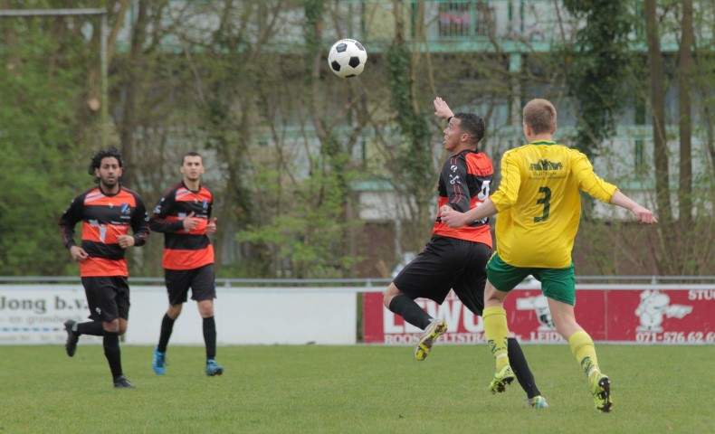 IMG_1380 (Small)