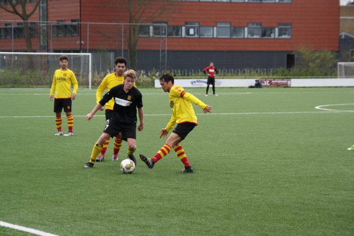 IMG_2951 (Small)