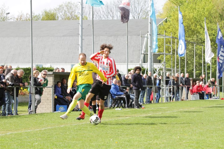 IMG_9575 (Small)