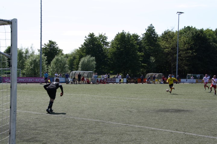 Semper Altius _ Oegstgeest (5) (Small)