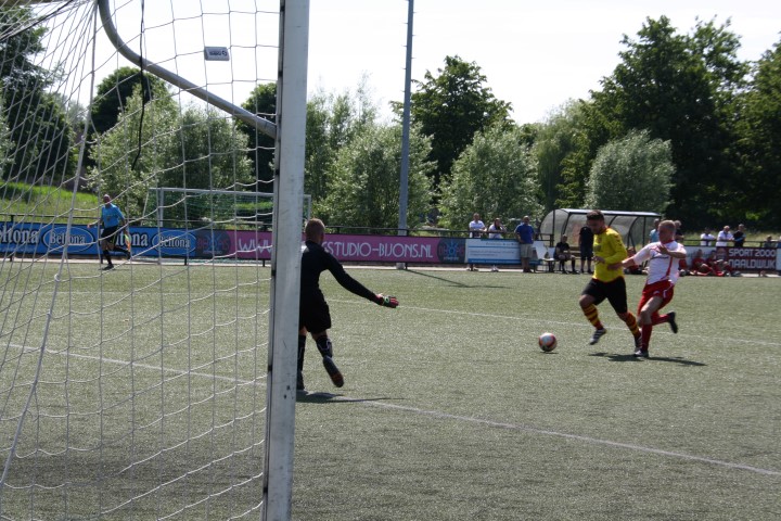 Semper Altius _ Oegstgeest (6) (Small)