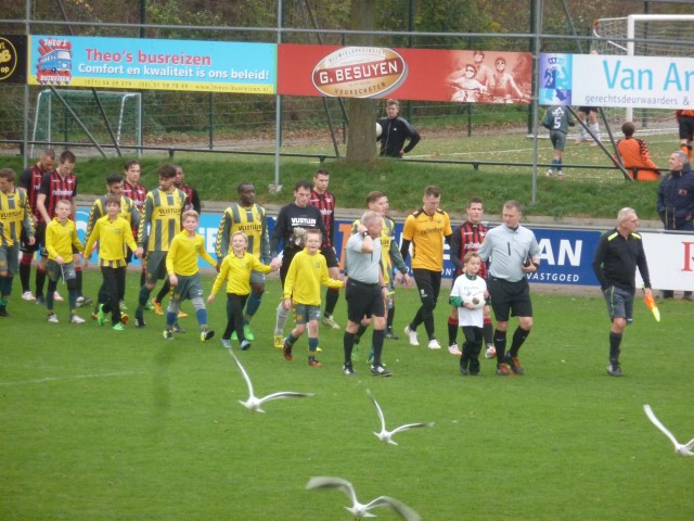 Opkomst van de spelers op Adegeest. De vogels worden voor even verdrongen.